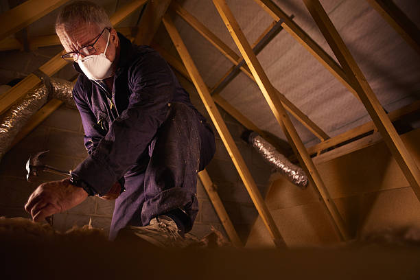 Best Insulation Installation Services in Dover, TN